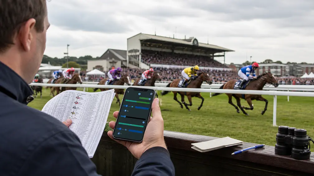 Each way horse betting guide explained